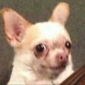 Meet your Posher, Christine